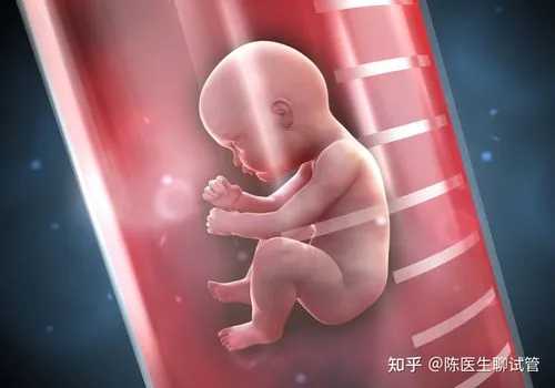 代怀孩子宝宝_卵巢早衰代怀价格,精子畸形率高做试管婴儿鲜胚移植失败为什么