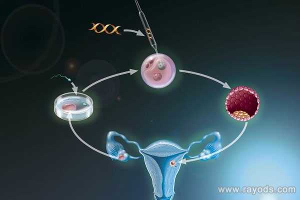 代孕怎么提取精子和卵子_代孕怎么受精啊_夫妻备孕第三代试管婴儿基因检测多