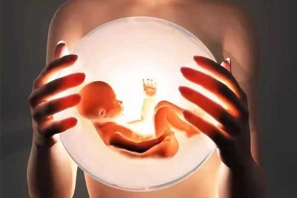 代孕可选男女_代孕有哪些_34天的试管婴儿没胎心怎么办
